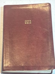 Santa Biblia Reina Valera Letra Gigante Spanish Bible Origen