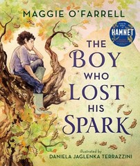 The Boy Who Lost His Spark by Maggie O’Farrell (hardcover)
