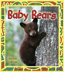 Baby Bears (Its Fun to Learn – Library Binding – GOOD
