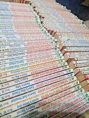 Baby-Sitters Club Little Sister Books – YOU CHOOSE, BUILD A LOT, Save $$