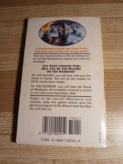 Wizards Warriors & You Book 13 Cavern Of The Phantoms By R. L. Stine CYOA