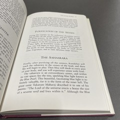 Where Are You Going A Guide to the Spiritual Journey Swami Muktananda HC 1991 DJ
