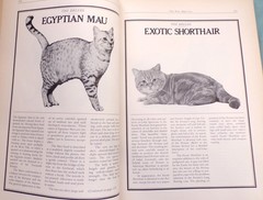 «Cat Catalog», The Ultimate Cat Book, Large «Very Good» 1st Ed. Book, 352 pages
