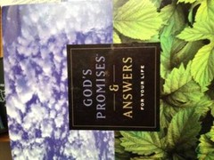 God’s Promises & Answers For Your Life – Paperback By Thomas Nelson – VERY GOOD