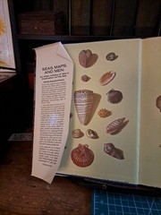 Seas,Maps,And Men Atlas-History of Man’s Exploration of the Oceans Free ship