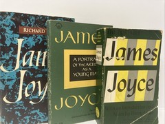 Vintage James Joyce Portrait Artist Young Man + Richard Ellmann Bio (Lot 3 PBs)