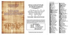 HALLELUYAH SCRIPTURES STANDARD BILE With Free Book & Free Shipping