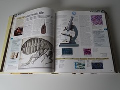 «Science: The Definitive Visual Guide / 512 Pages / Published In 2016
