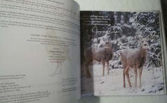 The Magic of the Forest Jacqueline Crivello Hardcover SIGNED NEW