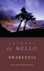 Awareness: The Perils and Opportunities of Reality – Paperback – GOOD
