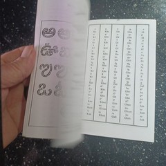 Learn Telugu in 30 Days 2008