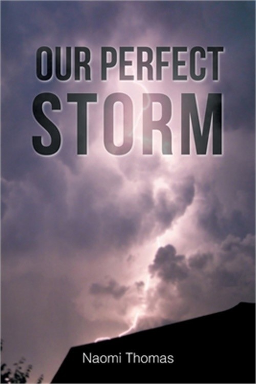 Our Perfect Storm (Paperback or Softback)