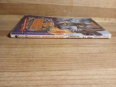 Wizards Warriors & You Book 13 Cavern Of The Phantoms By R. L. Stine CYOA