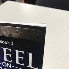Steel on Steel Book 3 – By Bill Perkins Paperback 2020
