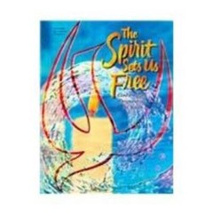 The Spirit Sets Us Free: Confirmation Preparation for Youth – Paperback – GOOD