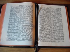 Cambridge Black Genuine Calfskin Leather KJV RV Interlinear Bible