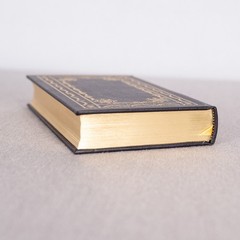A System of Penal Law for the State of Louisiana Legal Classics Library Leather